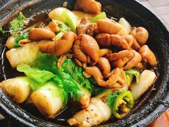 啫啫煲仔粉-珍珍小食店(西华路店)