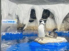 -太平洋海底世界