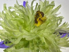 -浙里本味·宴四季江南(三台山路店)