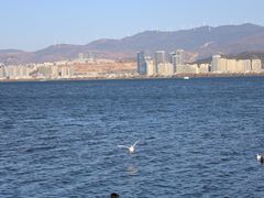 -洱海月湿地公园