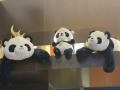 -了凡国风主题茶馆·咖啡(武侯祠锦里店)