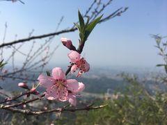 -午潮山国家森林公园