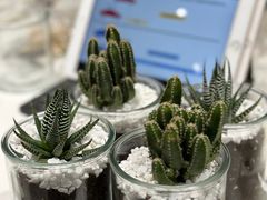 -TESLA 特斯拉(北京颐堤港体验店)