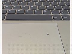-费明中罗非鱼(大石坝店)