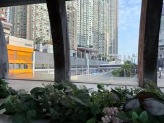 -九龙公园