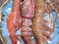 -左舞日本料理
