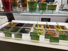 -Salud撒露欧洲冻酸奶(蓝色港湾店)