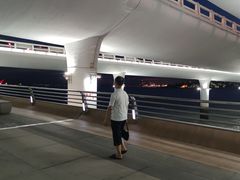 -演武大桥观景平台