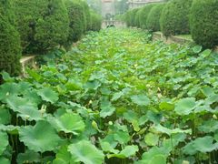 -四川大学(华西校区)