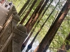-三水森林公园