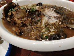 -邵年鸽(杨庄店)