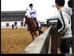 -松声马术俱乐部