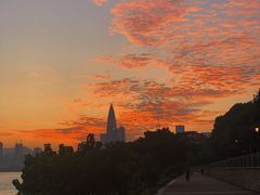 -深圳湾公园(南山区)