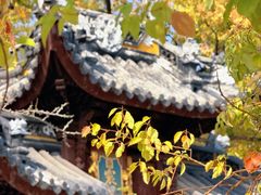 -西园寺素食(西园弄戒幢律寺店)