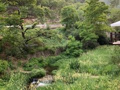 -Local泰莲庭(虹鳟鱼店)