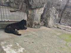 -南昌动物园