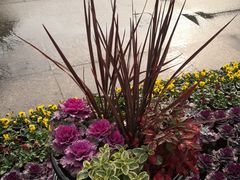 -无锡市市民中心