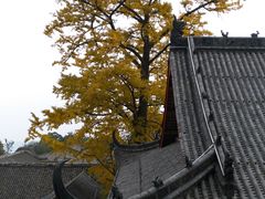 -金堂县云顶石城风景区