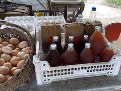 -马陆小张葡萄园农家乐