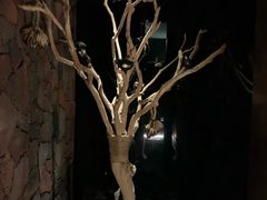 -心足私家足疗SPA(深圳湾店)