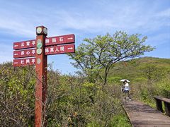 -大围山国家森林公园