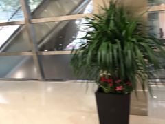 -Apple零售店(华贸购物中心店)
