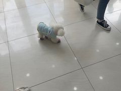 -美联众合动物医院·24h京西诊疗中心
