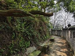 -南山植物园