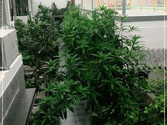 -滕头生态酒店(奉化店)