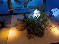 -大桶大足浴(山钢和润荟店)