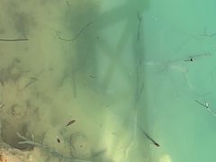 -广州市流溪河国家森林公园