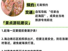 -日照灯塔风景区