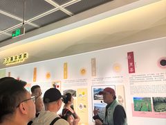 -中国茶叶博物馆(双峰馆区)