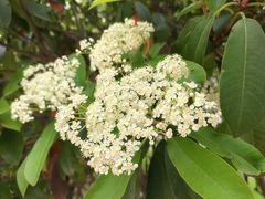 -郑州中国绿化博览园