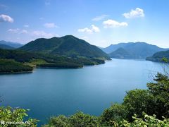 -峰味香.酱香米线.黄焖鸡(定西路店)