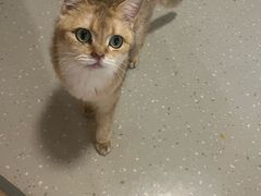 -小小班私人影院·猫咖(万达茂广场店)