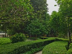 -晓港公园