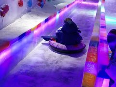 -海合安成都极地海洋公园