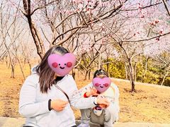 -北京十三陵国家森林公园蟒山景区