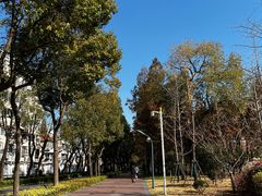 -上海财经大学-新食堂
