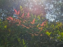 -中国茶叶博物馆(双峰馆区)