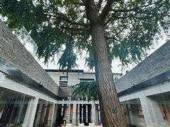 -自如ZSPACE四合院艺术餐厅