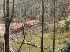 -黔灵山公园