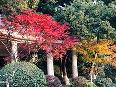 -浙江西子宾馆·瑶园咖啡厅