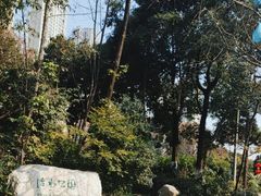 -成都市活水公园