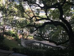 -香港大学