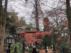 -莫干山风景区