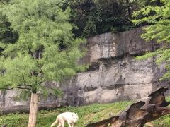 -杭州野生动物世界