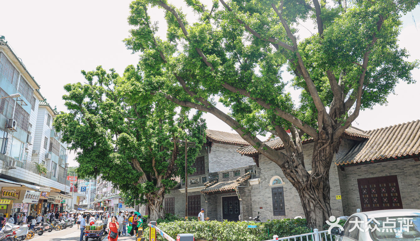 寻味顺德 | 鱼皮一哥，舌尖上的惊喜之旅