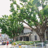 寻味顺德 | 鱼皮一哥，舌尖上的惊喜之旅